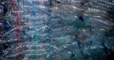 Lutte contre le gaspillage : des solutions pratiques pour réduire vos déchets