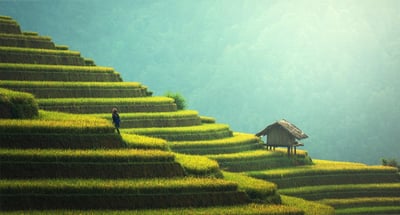 Les avancées de la France vers les objectifs de développement durable : État des lieux 2024 sur les initiatives pour la planète