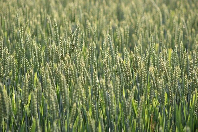 Décarbonation : quand les entreprises doivent réinventer leur avenir pour un monde durable