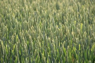 Décarbonation : quand les entreprises doivent réinventer leur avenir pour un monde durable