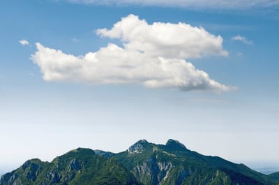 Amazon et ses enjeux : Une alliance entre Cloud et énergies renouvelables en question ?