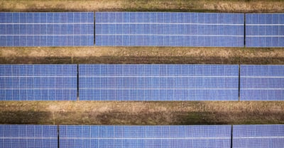 Développement durable : Les clés pour une transition écologique réussie