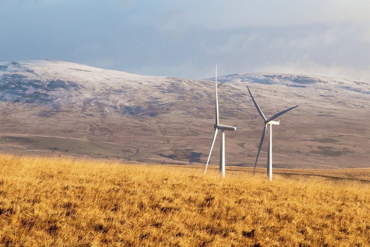 Énergies renouvelables en milieu rural : un bilan carbone positif