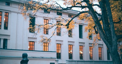 Végétalisation urbaine : un enjeu essentiel pour la biodiversité en ville