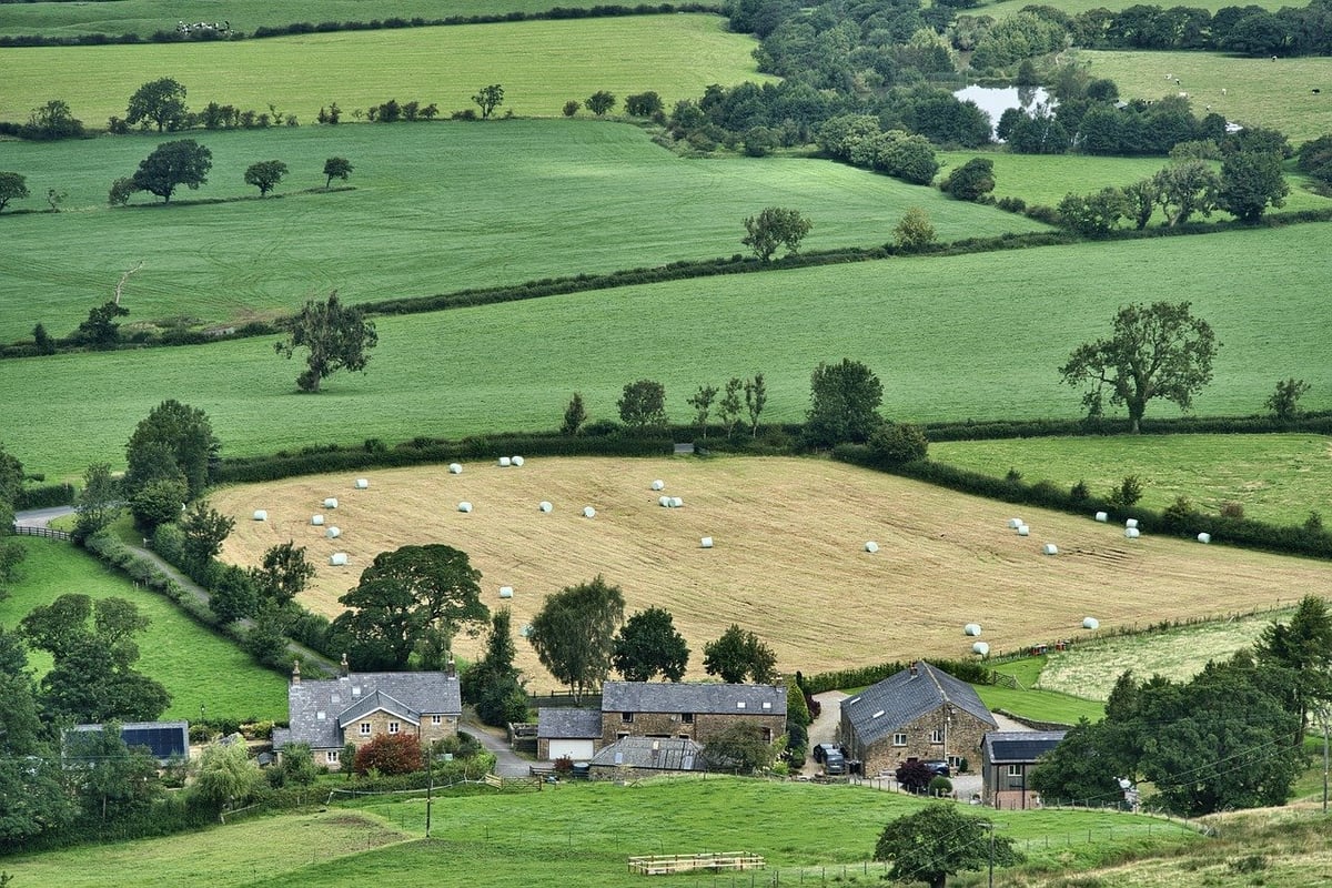 Fermes urbaines : un impact carbone surprenant face à l’agriculture traditionnelle