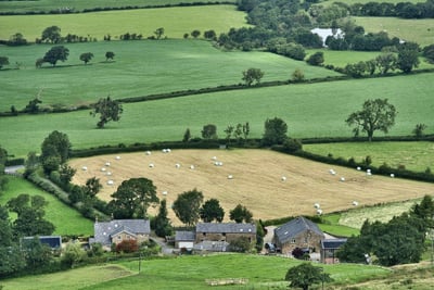 Fermes urbaines : un impact carbone surprenant face à l’agriculture traditionnelle