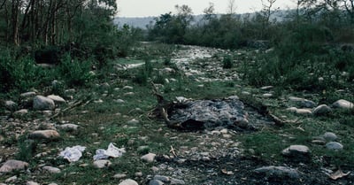 Pollution des sols : enjeux et solutions pour un avenir durable