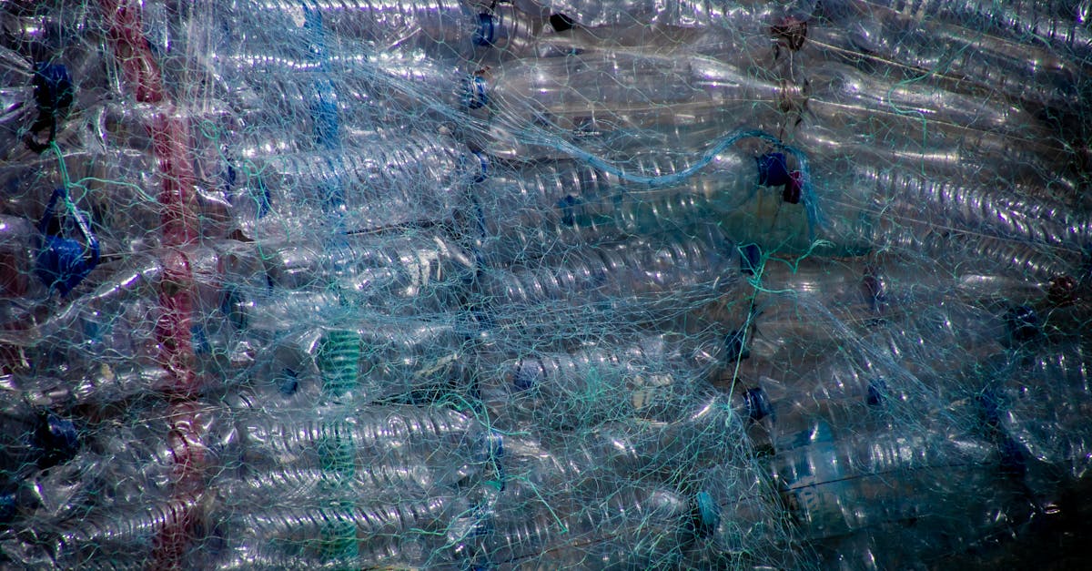 Réduction des déchets : 10 astuces pratiques pour un mode de vie éco-responsable