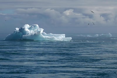 L’impact du changement climatique sur l’agriculture et les enjeux du bilan carbone