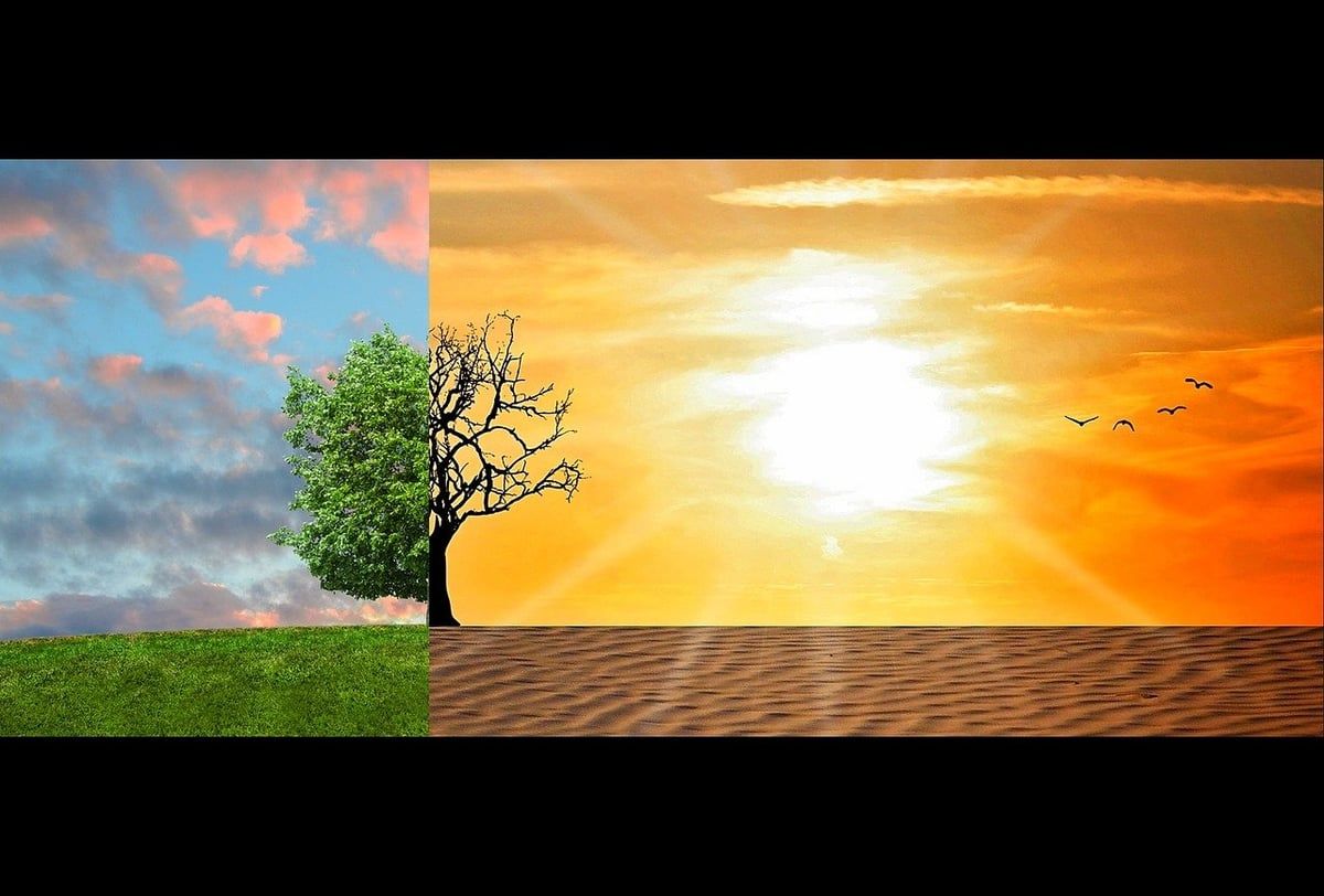 Changement climatique : l’intelligence artificielle constitue-t-elle une menace pour notre planète ?