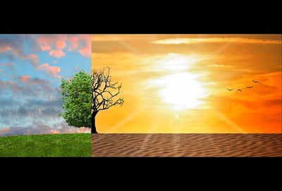 Changement climatique : l’intelligence artificielle constitue-t-elle une menace pour notre planète ?