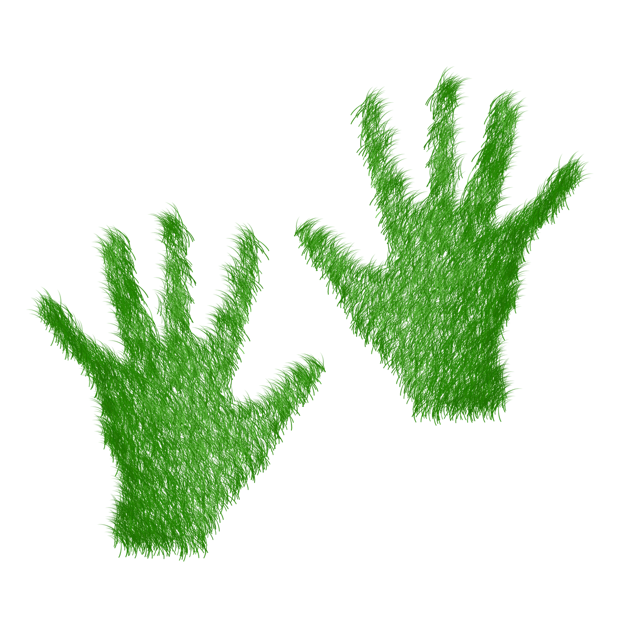 Minimiser notre empreinte écologique