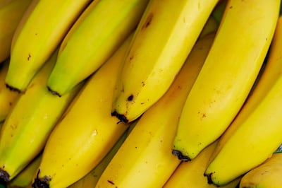 En Sicile, une révolution discrète : l’essor surprenant des fruits exotiques