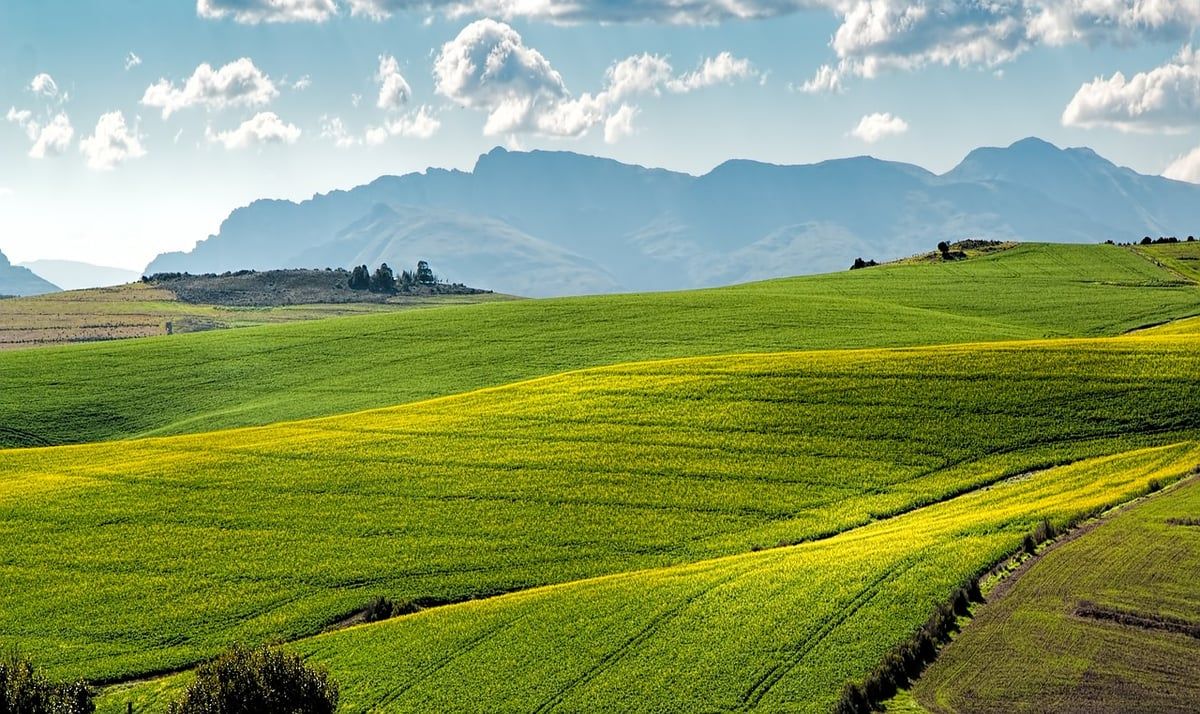 Comment le secteur agricole affecte notre bilan carbone