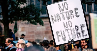 Changement climatique : comprendre ses impacts sur la biodiversité