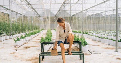 Agriculture durable : 5 pratiques innovantes pour une production écoresponsable