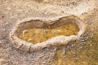 Podcast : Climat en tension, empreinte écologique sous la loupe