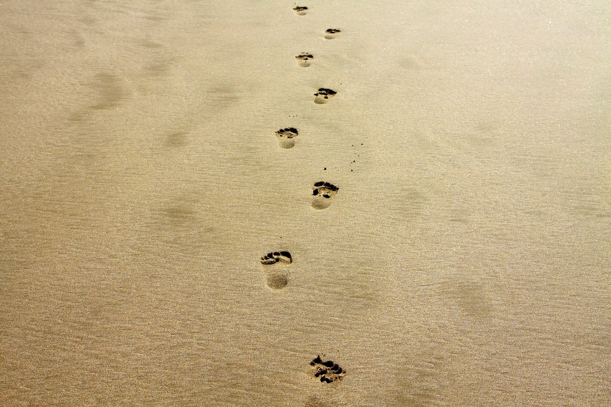 La réduction des GES : un objectif du bilan carbone