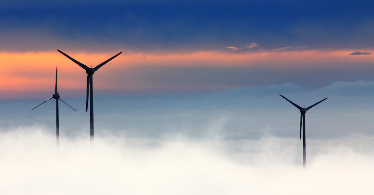 Innovations écologiques : Les nouvelles technologies au service de la planète