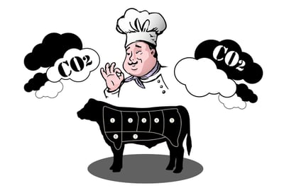 Les bénéfices économiques d’un bilan carbone optimisé