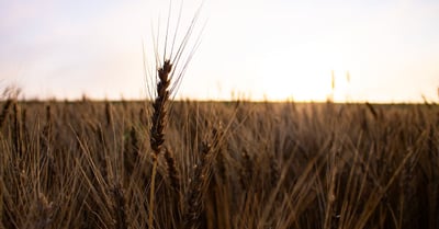 Démographie durable : Vers un avenir équilibré pour les générations futures