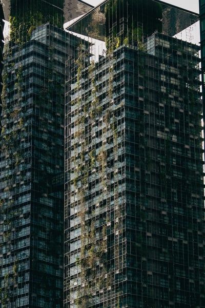 Des Aliments Innovants : Comment les Noix et les Algues Contribuent à Réduire le Carbone et Combattre le Changement Climatique
