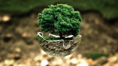 Glossaire des Terminologies Officielles en Matière Environnementale
