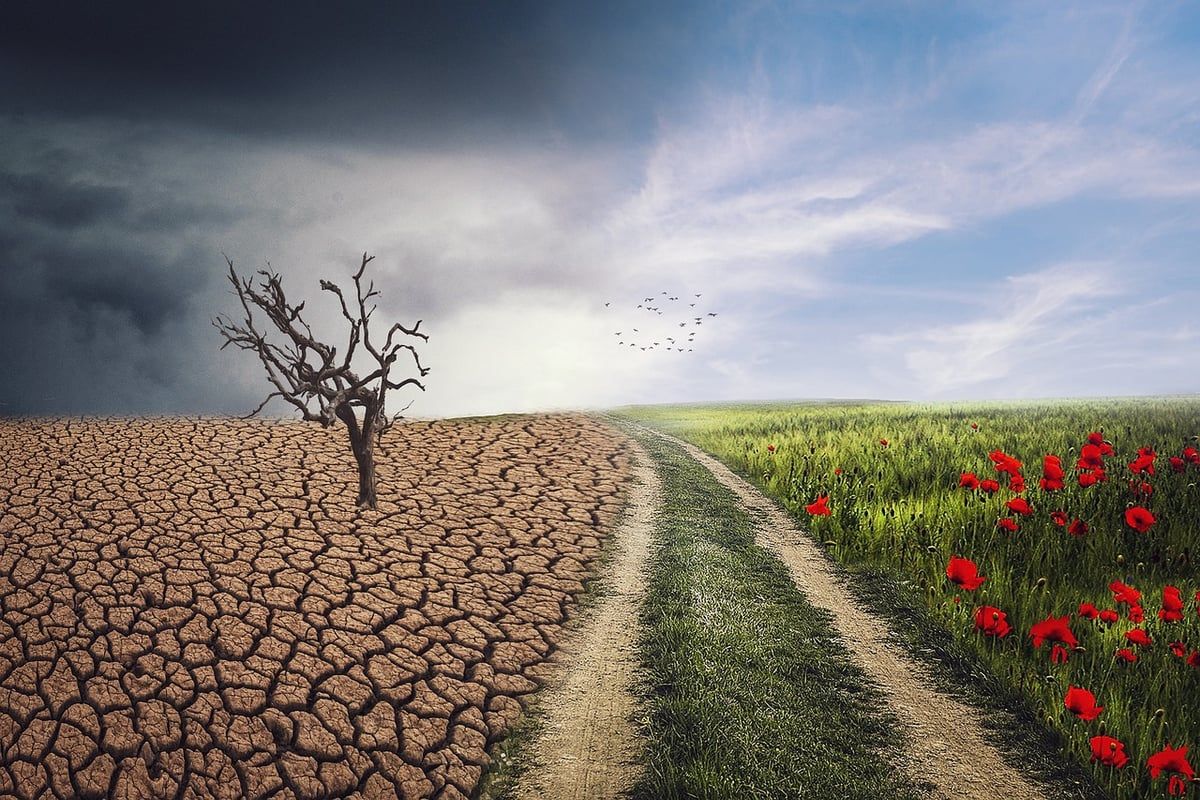 Comprendre les causes du changement climatique : Analyse et chiffres clés pour 2025