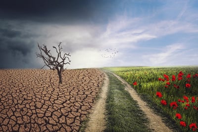 Comprendre les causes du changement climatique : Analyse et chiffres clés pour 2025