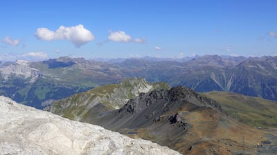 Le Forum de Davos plaide-t-il réellement pour l’interdiction des potagers dans la lutte contre le changement climatique ?
