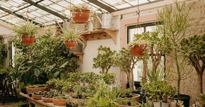 Plus de verdure : 10 idées pour un jardin plus écologique
