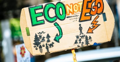 Changement climatique : impacts sur les écosystèmes et solutions durables