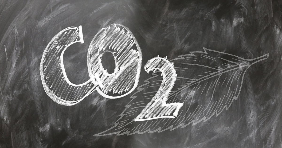 Bilan carbone : comprendre son impact sur l’écologie urbaine
