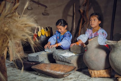 « Un musée français émet annuellement environ 9000 tonnes de CO2 : un appel à l’action pour la transition écologique des institutions culturelles »