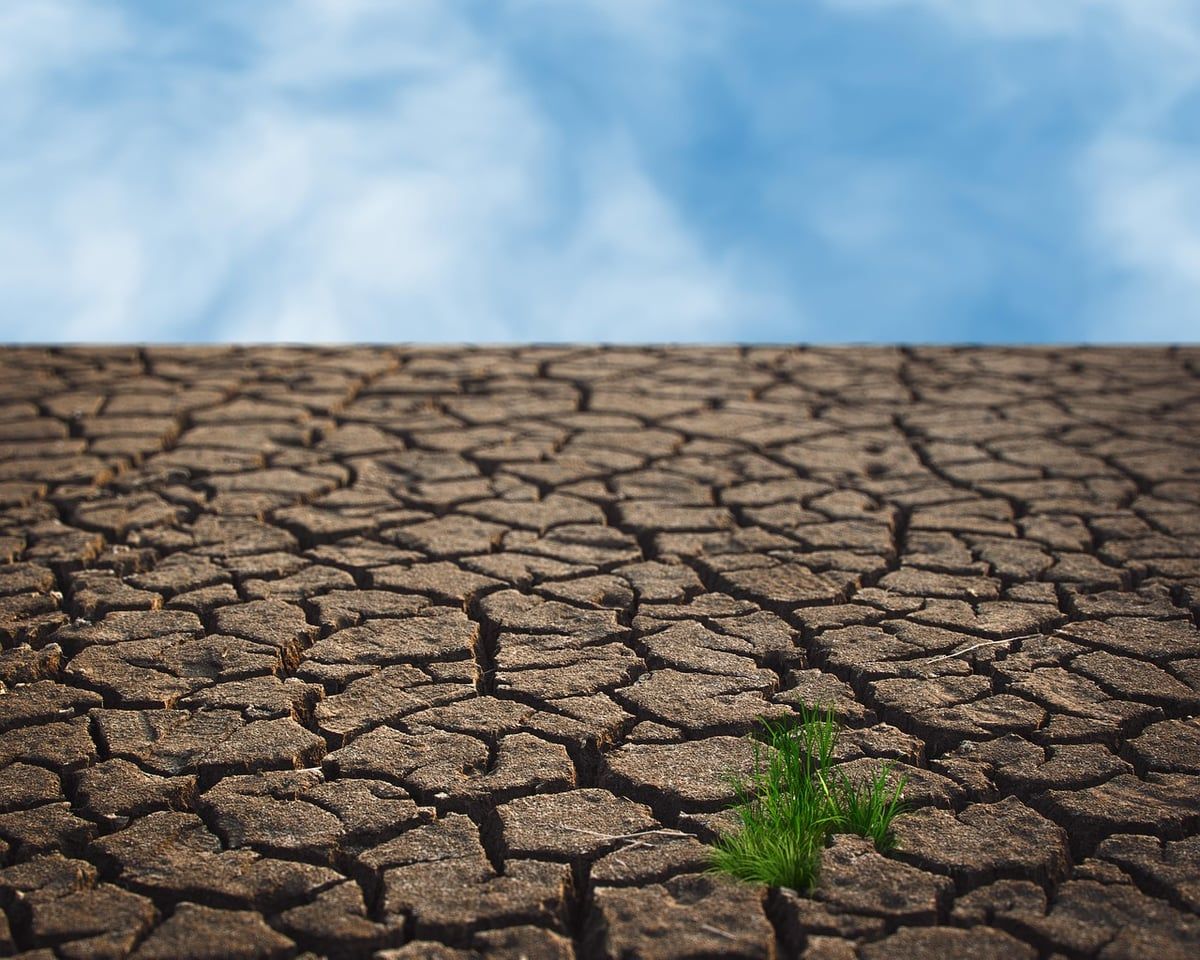 les défis du changement climatique pour les professionnels de la santé