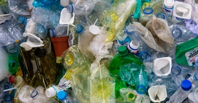 Sensibilisation environnementale : Comment agir pour un avenir durable