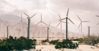 Pratiques de développement durable : Comment adopter des gestes éco-responsables au quotidien