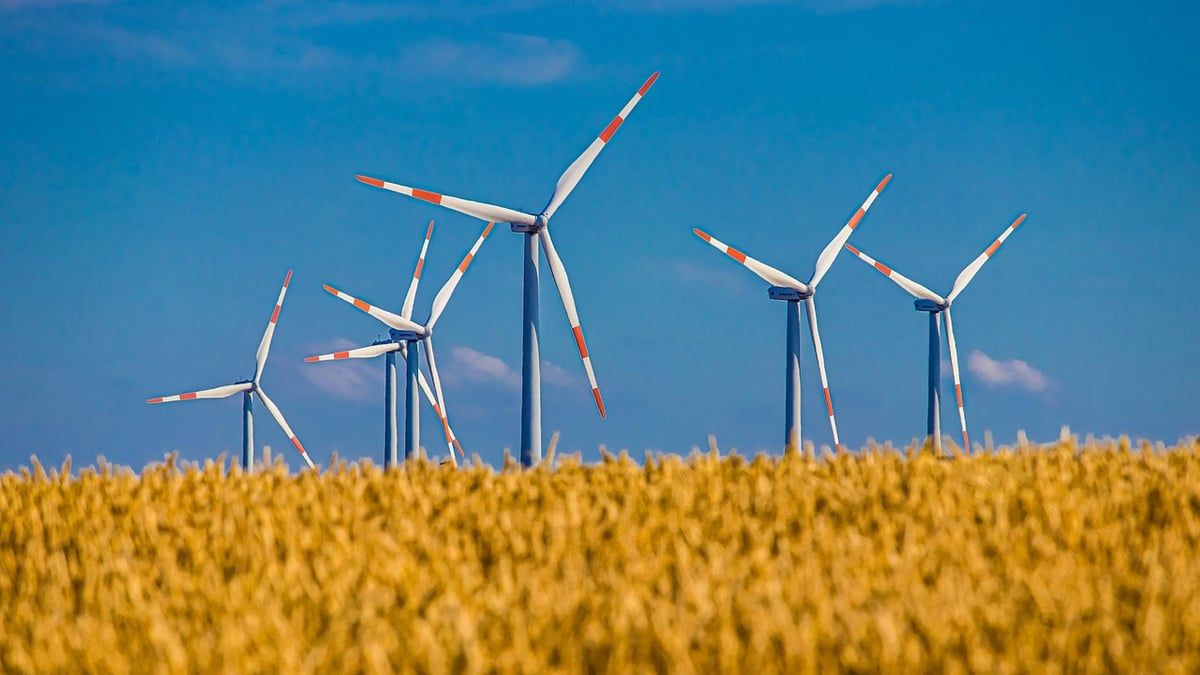 Vers une architecture durable : redécouvrir la nature et les villes en harmonie avec l’écologie