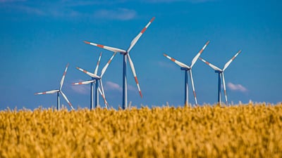 Vers une architecture durable : redécouvrir la nature et les villes en harmonie avec l’écologie