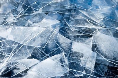 L’impact du changement climatique sur le cycle du carbone