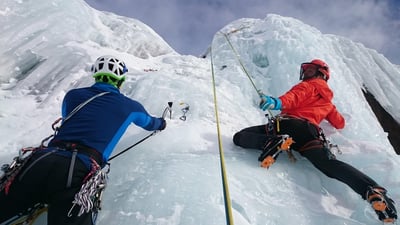 Les enjeux internationaux et les transitions nécessaires