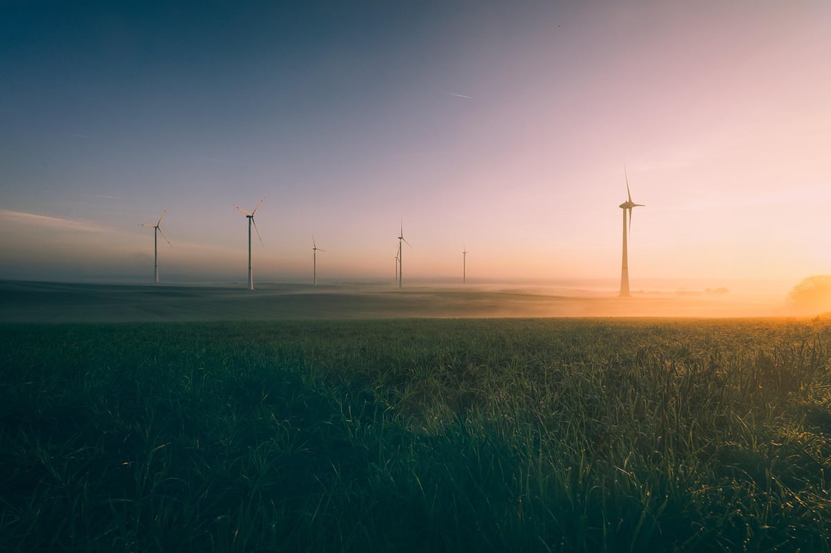 Écologie et football : pourquoi l’environnement demeure la grande oubliée du ballon rond