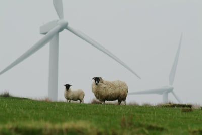 Notre dévouement envers la protection de la planète