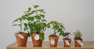 Projets communautaires écologiques : comment construire un avenir durable ensemble