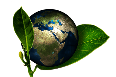 Notre dévouement envers la protection de l’environnement