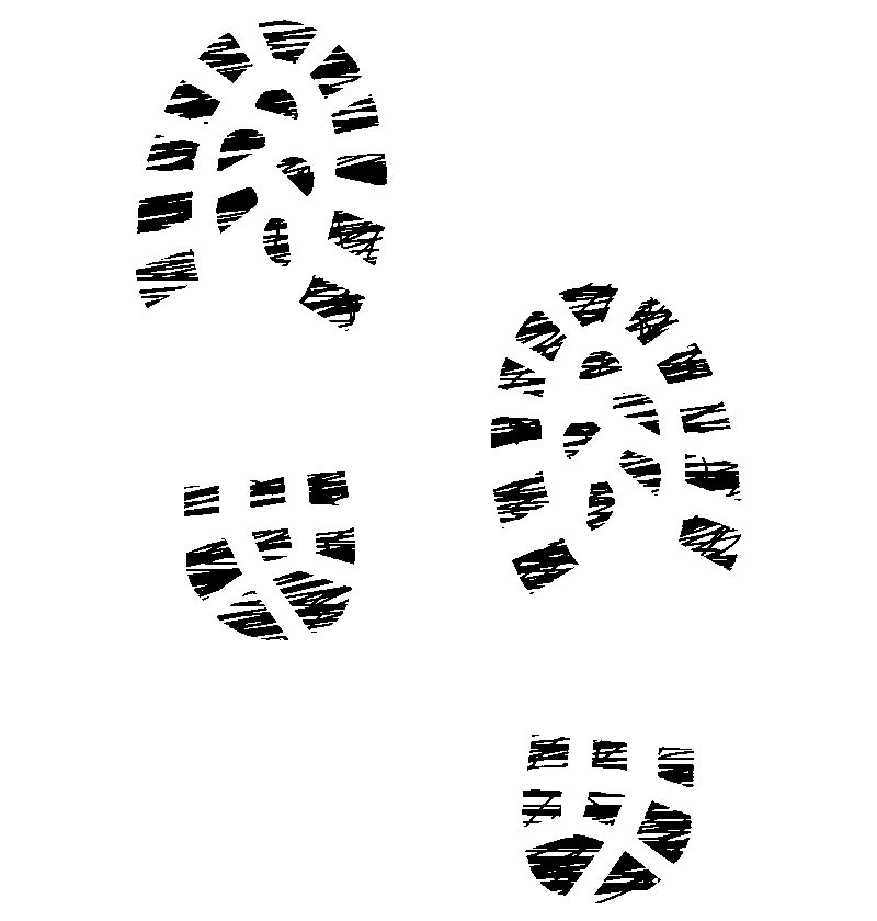 découvrez l'importance de la transparence en matière d'empreinte carbone pour un engagement environnemental responsable et des actions durables.