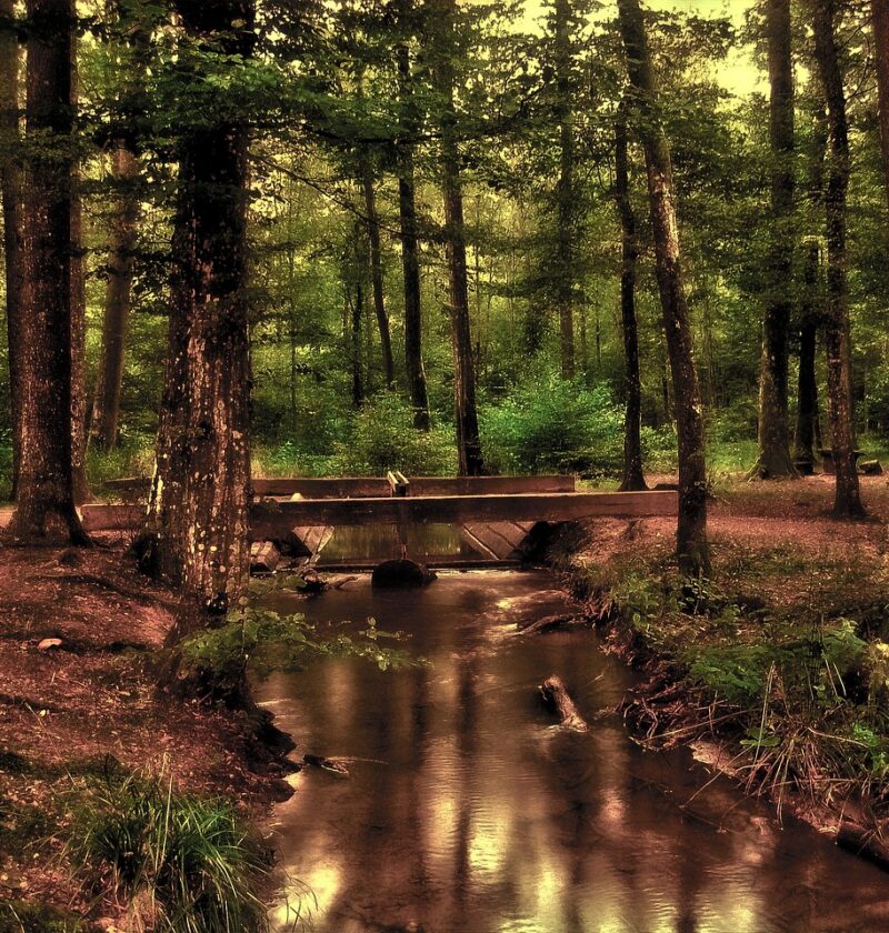 découvrez notre planète terre, un joyau unique riche en biodiversité et en paysages époustouflants, essentiel à la vie et à la préservation de notre avenir.