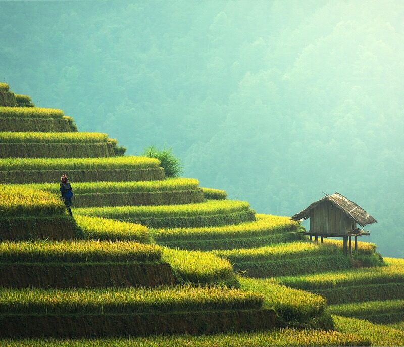 découvrez les pratiques de la pêche durable pour préserver les écosystèmes marins tout en garantissant des ressources halieutiques pour les générations futures.
