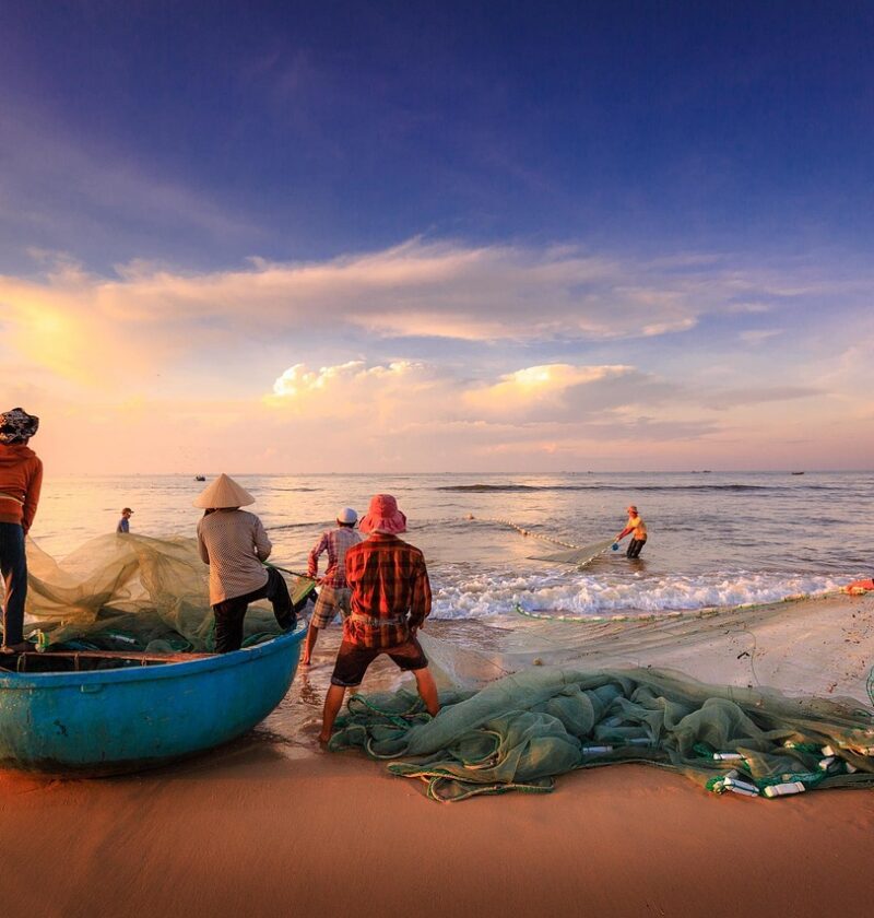 découvrez l'impact environnemental de la pêche sur l'empreinte carbone et apprenez comment adopter des pratiques durables pour protéger notre planète.