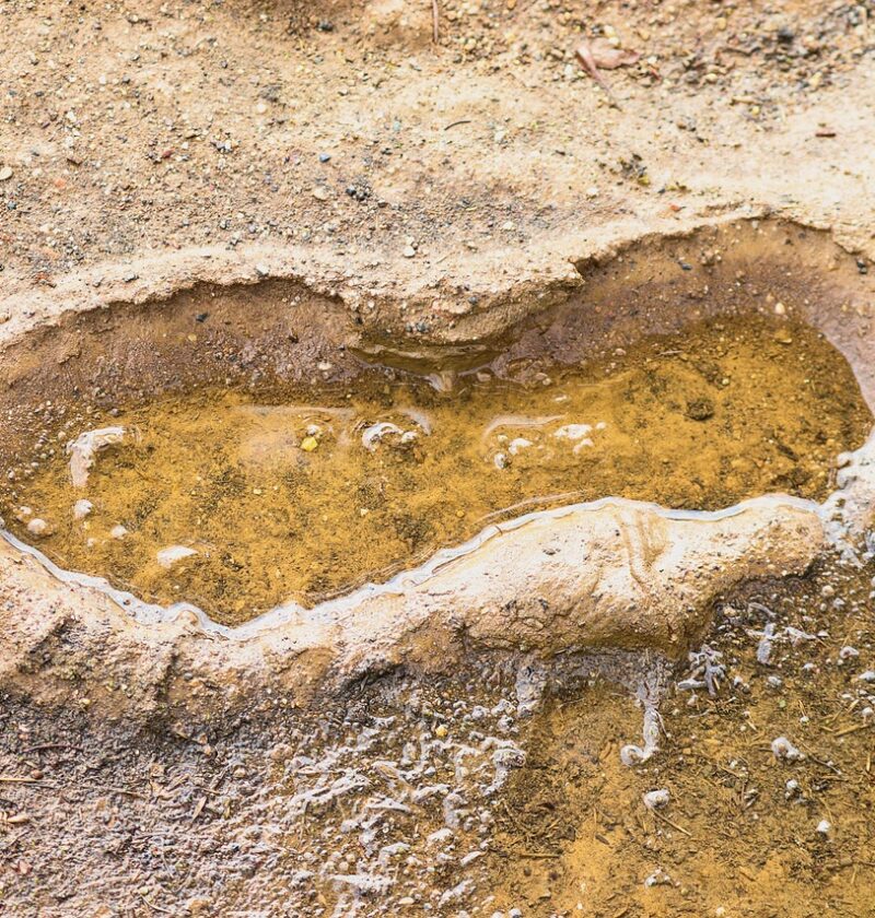 découvrez ce qu'est l'empreinte écologique, son impact sur l'environnement et comment réduire votre consommation pour vivre de manière durable.